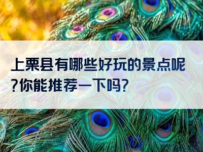 上栗县有哪些好玩的景点呢？你能推荐一下吗？