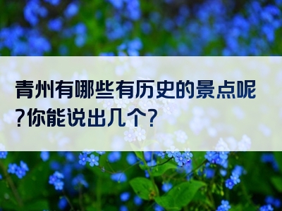 青州有哪些有历史的景点呢？你能说出几个？