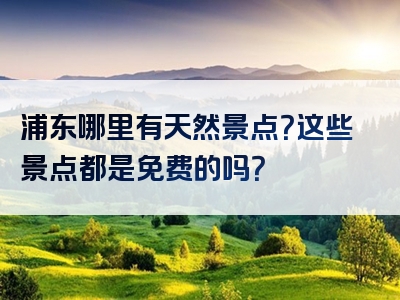 浦东哪里有天然景点？这些景点都是免费的吗？