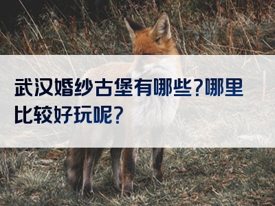 武汉婚纱古堡有哪些？哪里比较好玩呢？