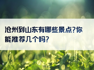 沧州到山东有哪些景点？你能推荐几个吗？