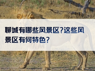 聊城有哪些风景区？这些风景区有何特色？