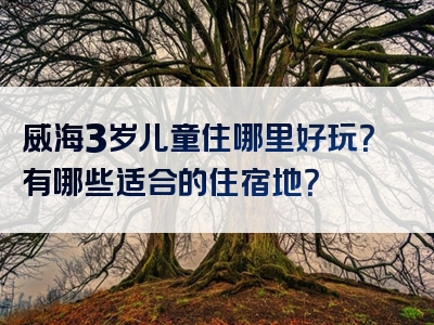威海3岁儿童住哪里好玩？有哪些适合的住宿地？