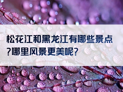 松花江和黑龙江有哪些景点？哪里风景更美呢？