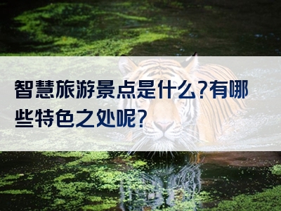 智慧旅游景点是什么？有哪些特色之处呢？