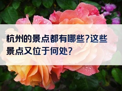 杭州的景点都有哪些？这些景点又位于何处？