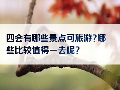四会有哪些景点可旅游？哪些比较值得一去呢？