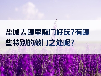 盐城去哪里敲门好玩？有哪些特别的敲门之处呢？