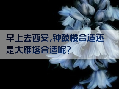 早上去西安，钟鼓楼合适还是大雁塔合适呢？