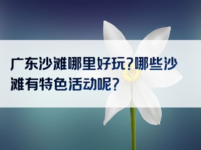 广东沙滩哪里好玩？哪些沙滩有特色活动呢？