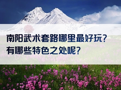 南阳武术套路哪里最好玩？有哪些特色之处呢？