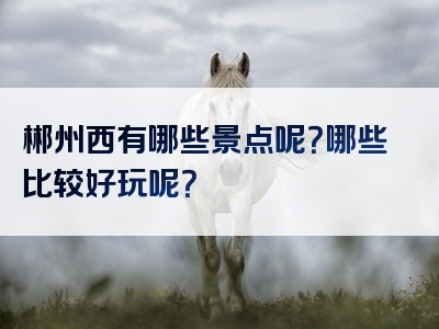 郴州西有哪些景点呢？哪些比较好玩呢？