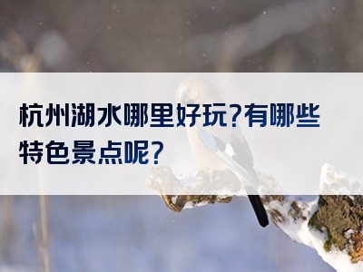 杭州湖水哪里好玩？有哪些特色景点呢？