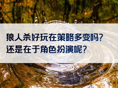 狼人杀好玩在策略多变吗？还是在于角色扮演呢？