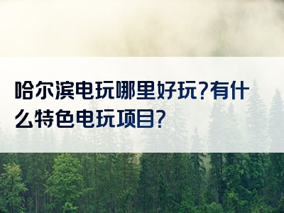 哈尔滨电玩哪里好玩？有什么特色电玩项目？