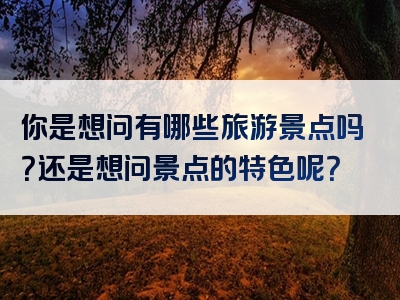 你是想问有哪些旅游景点吗？还是想问景点的特色呢？