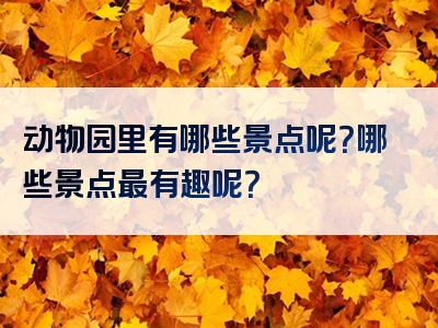 动物园里有哪些景点呢？哪些景点最有趣呢？
