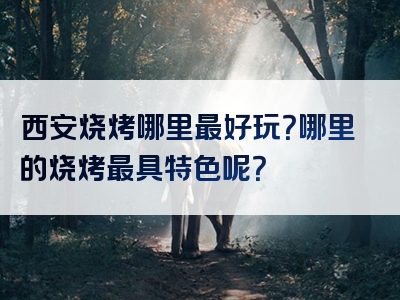 西安烧烤哪里最好玩？哪里的烧烤最具特色呢？