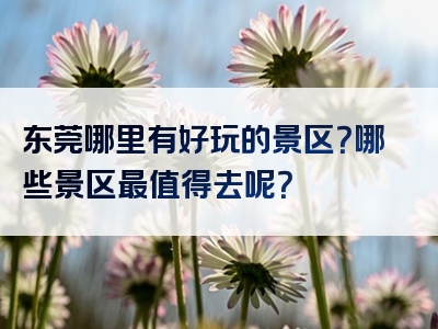 东莞哪里有好玩的景区？哪些景区最值得去呢？
