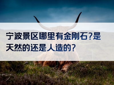宁波景区哪里有金刚石？是天然的还是人造的？