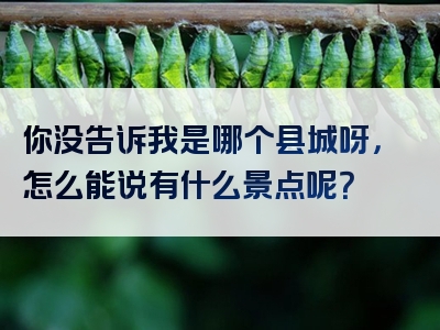 你没告诉我是哪个县城呀，怎么能说有什么景点呢？