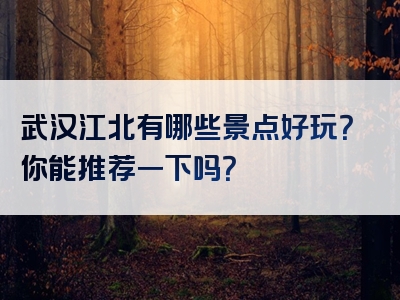 武汉江北有哪些景点好玩？你能推荐一下吗？