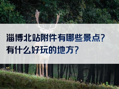 淄博北站附件有哪些景点？有什么好玩的地方？
