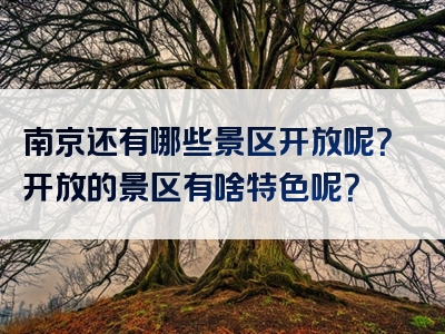南京还有哪些景区开放呢？开放的景区有啥特色呢？