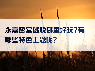 永嘉密室逃脱哪里好玩？有哪些特色主题呢？