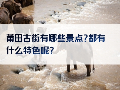 莆田古街有哪些景点？都有什么特色呢？