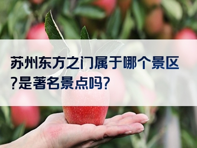 苏州东方之门属于哪个景区？是著名景点吗？