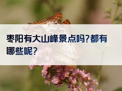 枣阳有大山峰景点吗？都有哪些呢？