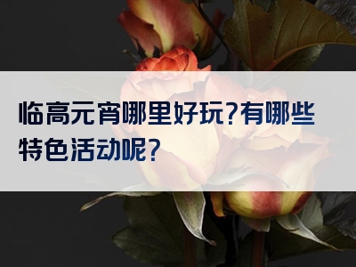 临高元宵哪里好玩？有哪些特色活动呢？