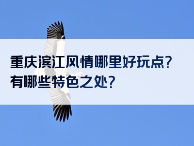 重庆滨江风情哪里好玩点？有哪些特色之处？