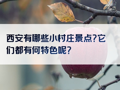 西安有哪些小村庄景点？它们都有何特色呢？