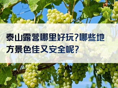 泰山露营哪里好玩？哪些地方景色佳又安全呢？