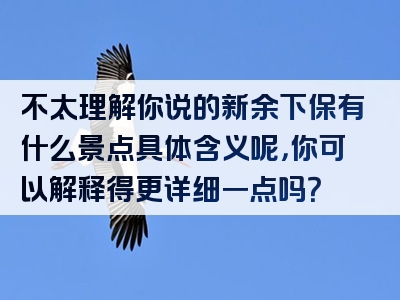 不太理解你说的新余下保有什么景点具体含义呢，你可以解释得更详细一点吗？