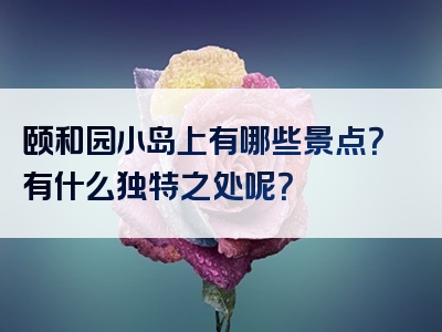 颐和园小岛上有哪些景点？有什么独特之处呢？