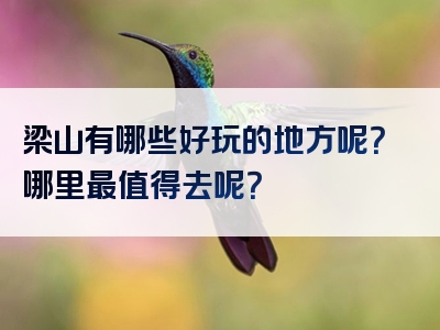 梁山有哪些好玩的地方呢？哪里最值得去呢？