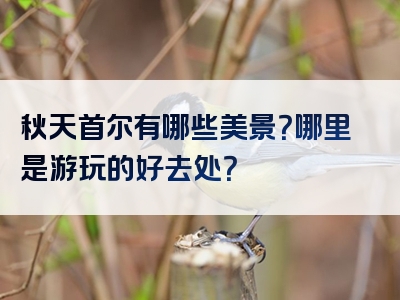 秋天首尔有哪些美景？哪里是游玩的好去处？