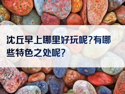 沈丘早上哪里好玩呢？有哪些特色之处呢？
