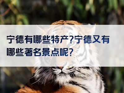 宁德有哪些特产？宁德又有哪些著名景点呢？