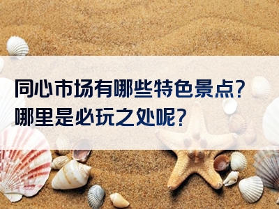 同心市场有哪些特色景点？哪里是必玩之处呢？