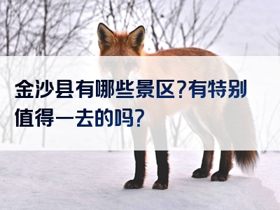 金沙县有哪些景区？有特别值得一去的吗？
