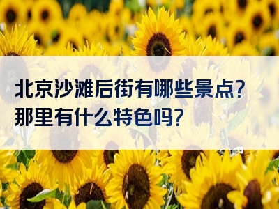 北京沙滩后街有哪些景点？那里有什么特色吗？