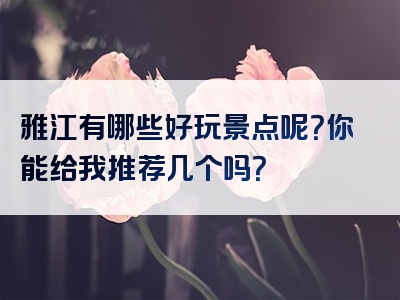 雅江有哪些好玩景点呢？你能给我推荐几个吗？
