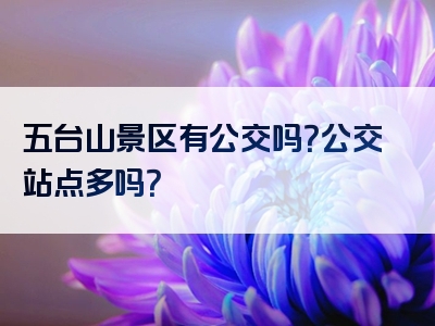 五台山景区有公交吗？公交站点多吗？