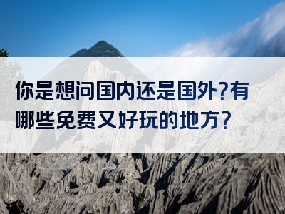 你是想问国内还是国外？有哪些免费又好玩的地方？