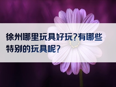 徐州哪里玩具好玩？有哪些特别的玩具呢？