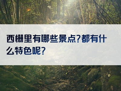 西栅里有哪些景点？都有什么特色呢？
